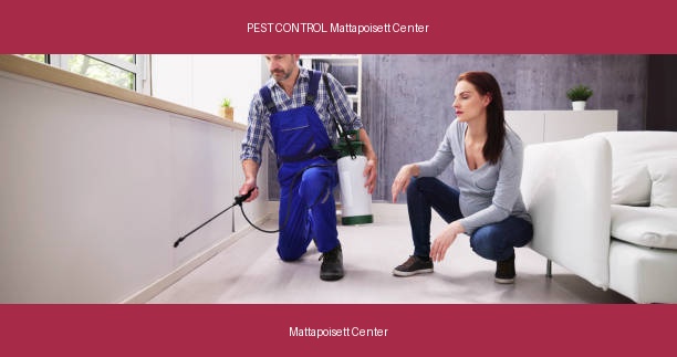 PEST CONTROL Mattapoisett Center